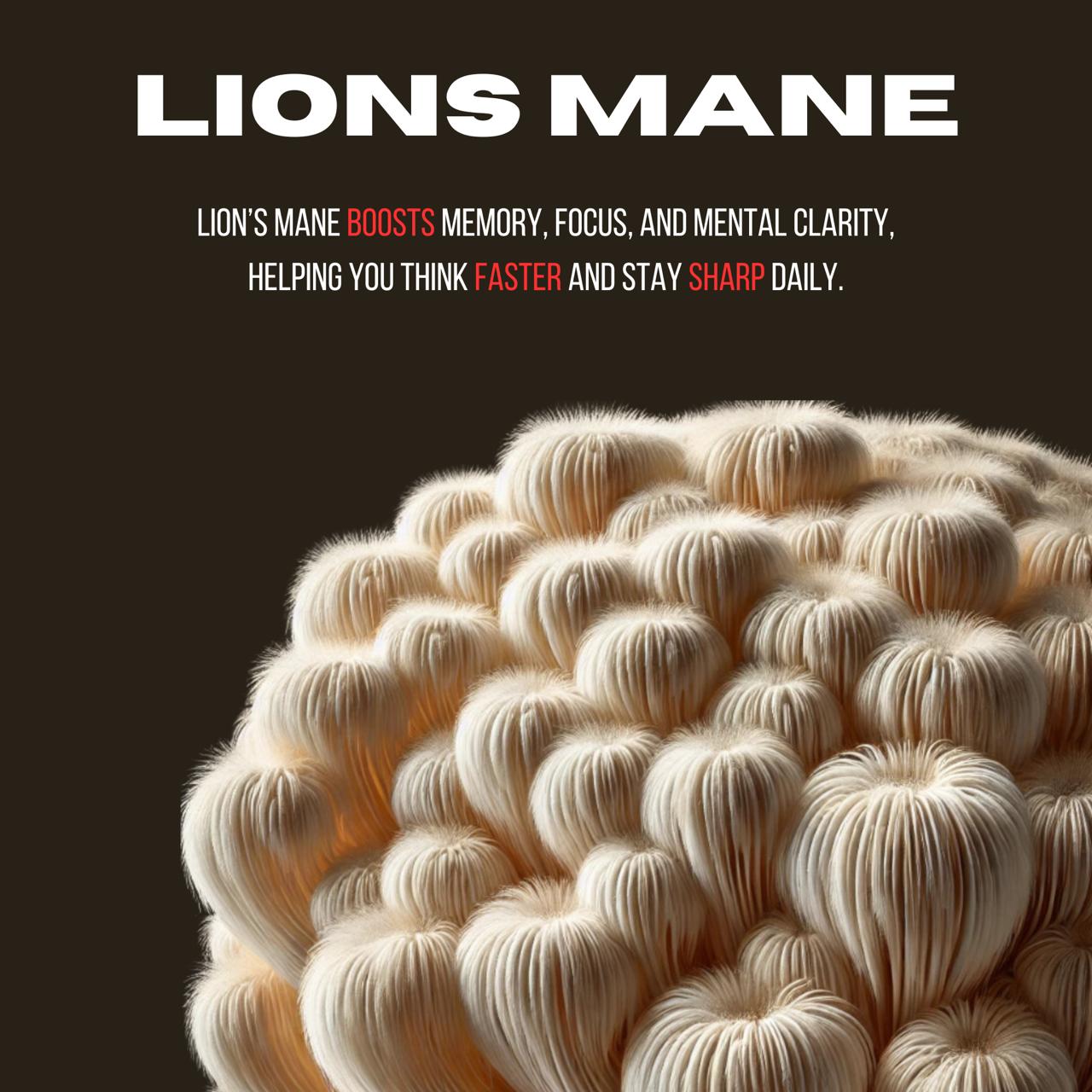 WhatsApp Image 2025-07-12 at 6.00.25 AM