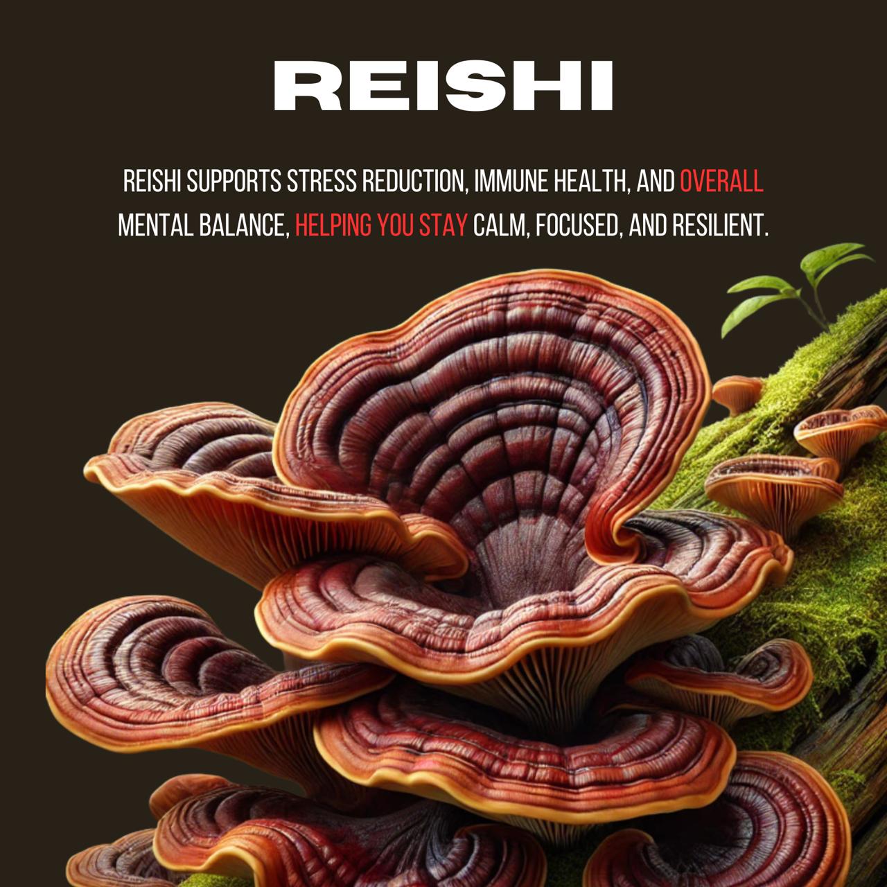 WhatsApp Image 2025-07-12 at 6.00.27 AM (1)