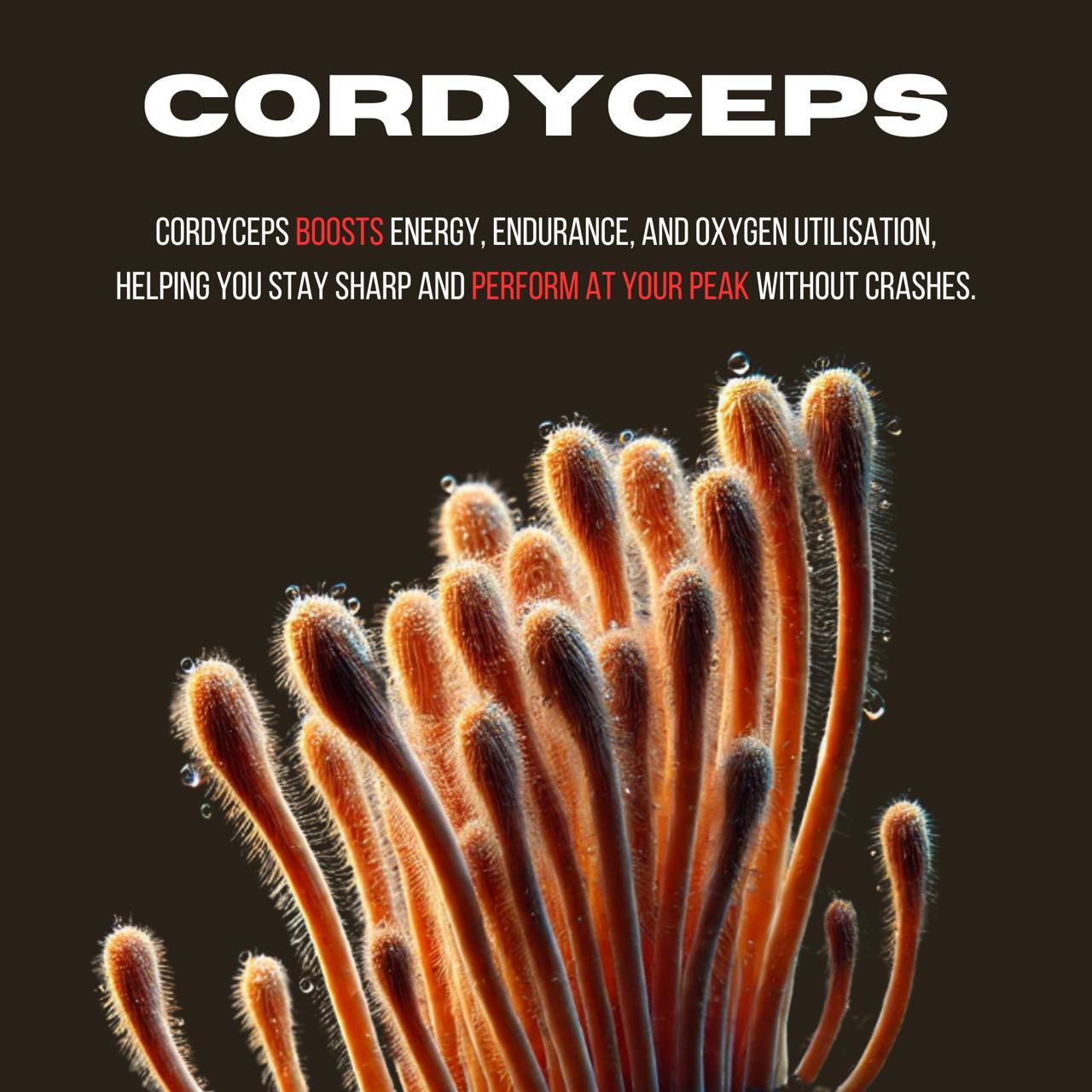 WhatsApp Image 2025-07-12 at 6.00.27 AM