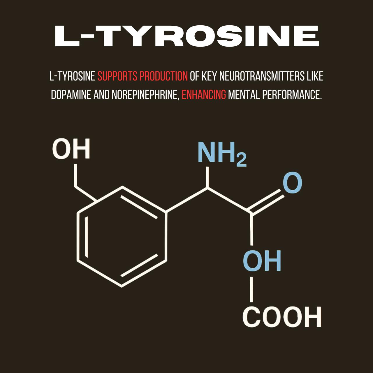 WhatsApp Image 2025-07-12 at 6.10.07 AM (1)