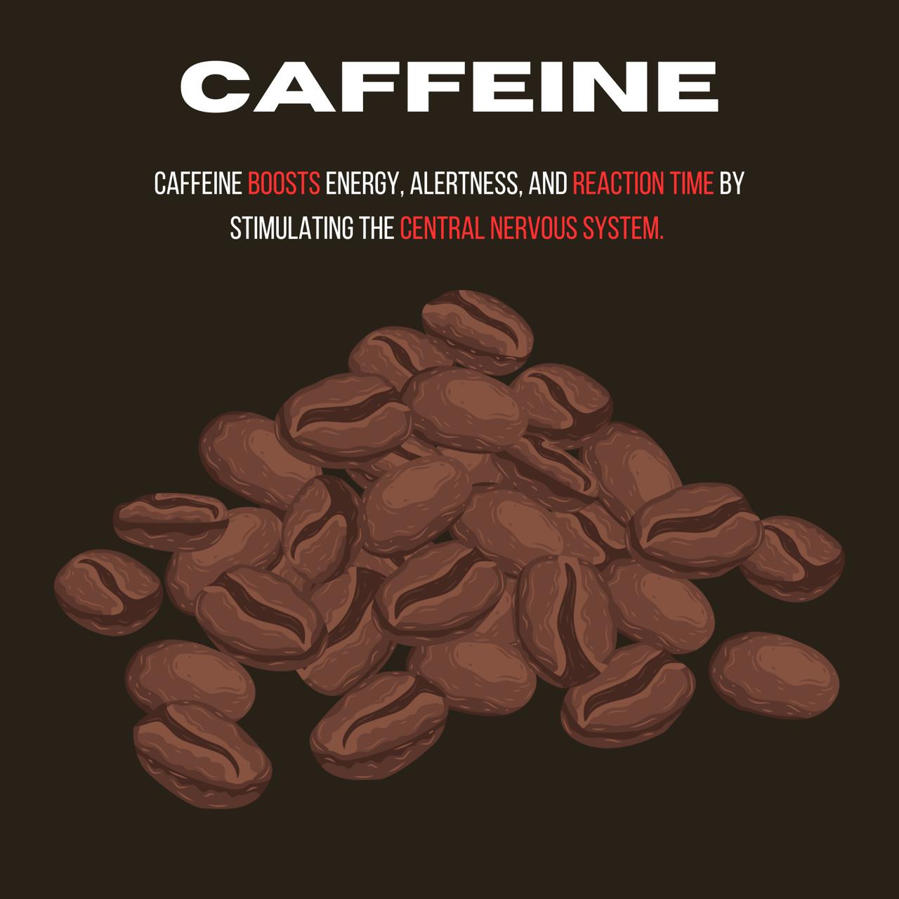 WhatsApp Image 2025-07-12 at 6.15.31 AM